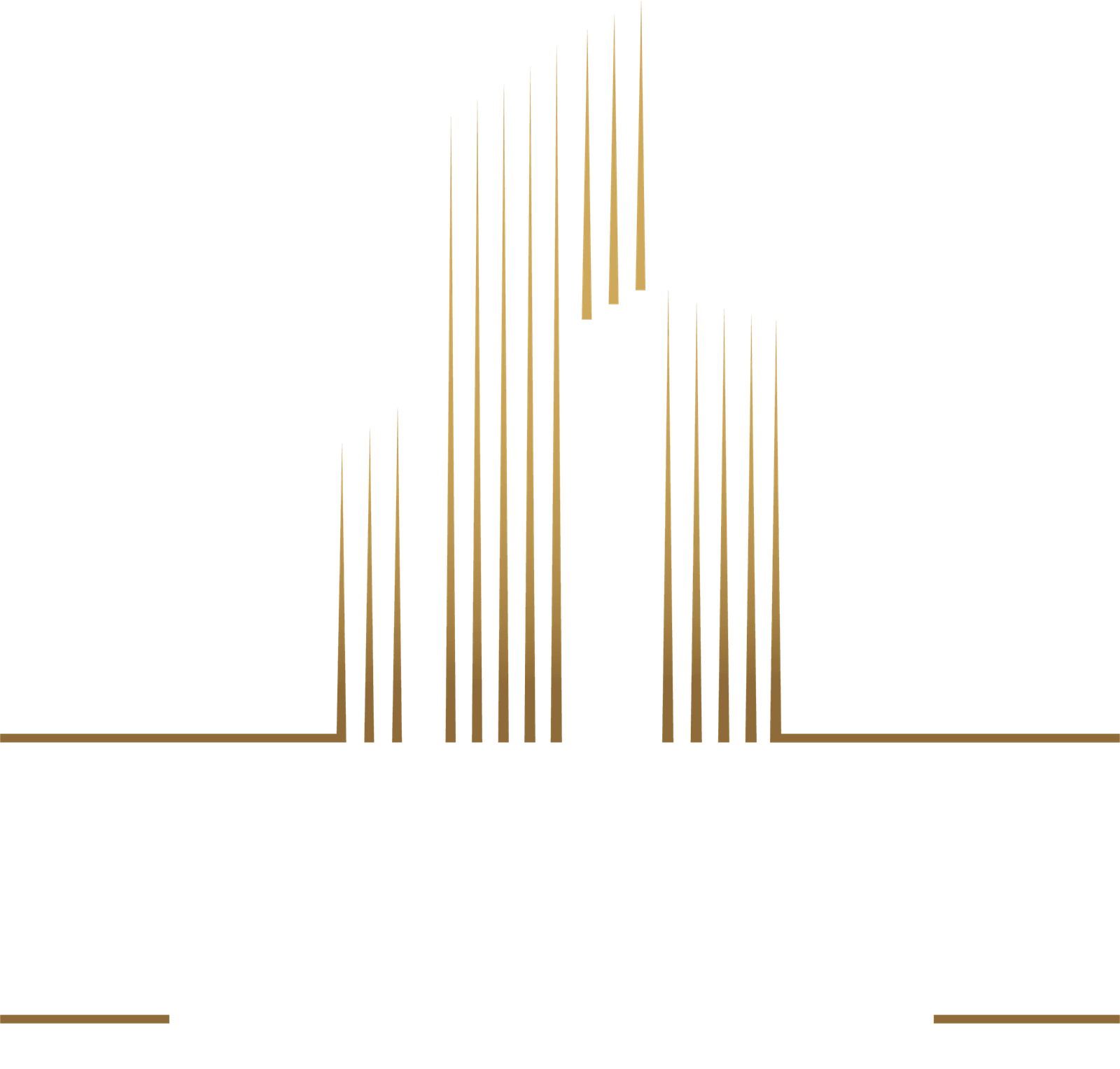 skyward logo 1a